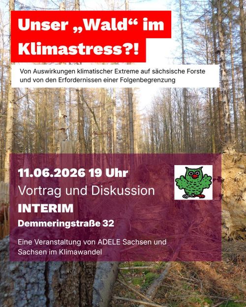 Unser Wald im Klimastress: Von Auswirkungen klimatischer Extreme auf sächsische Forste  und von den Erfordernissen einer Folgenbegrenzung